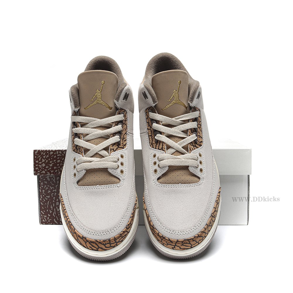 DD Jordan 3 Retro Palomino