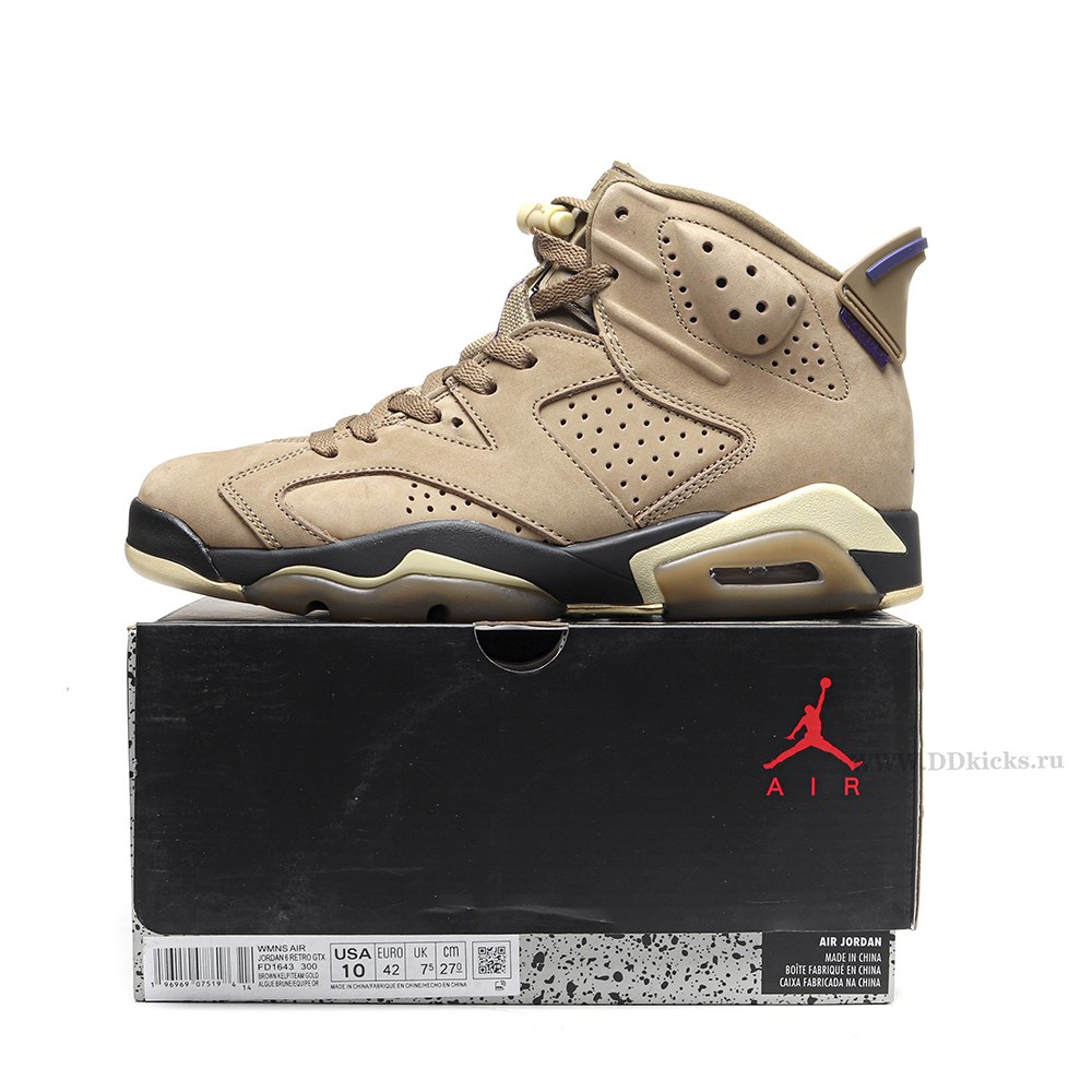 DD Jordan 6 Retro Gore-Tex Brown Kelp