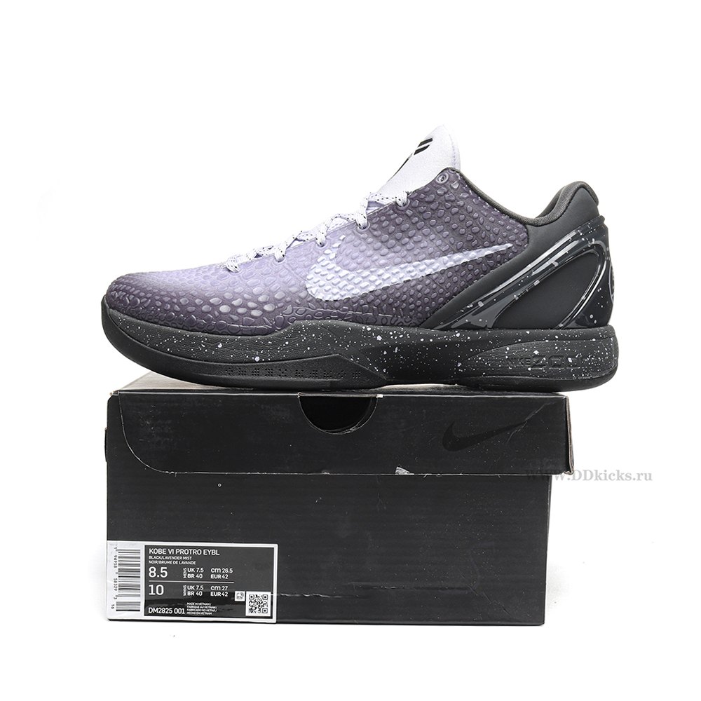 DD Nike Kobe 6 Protro EYBL