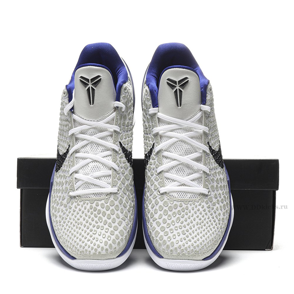 DD Nike Kobe 6 Concord