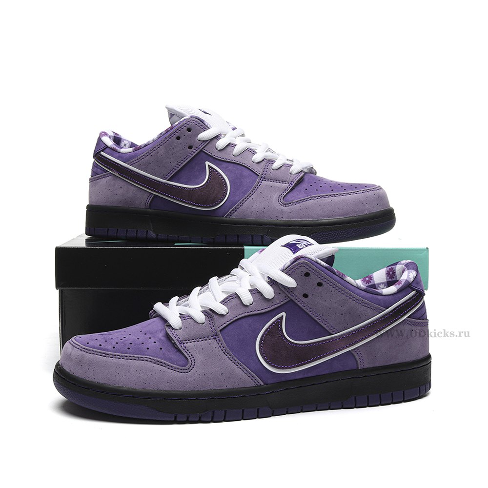 DD Nike SB Dunk Low Concepts Purple Lobster