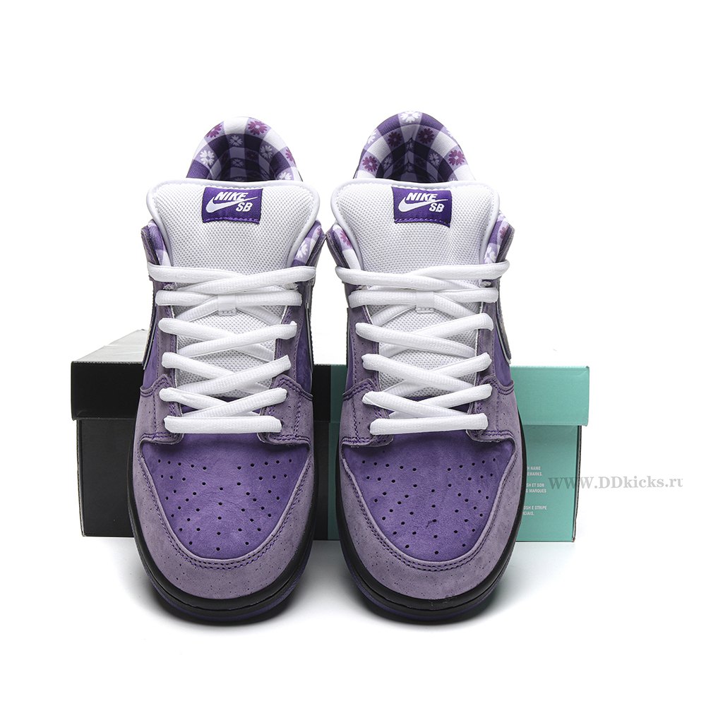 DD Nike SB Dunk Low Concepts Purple Lobster