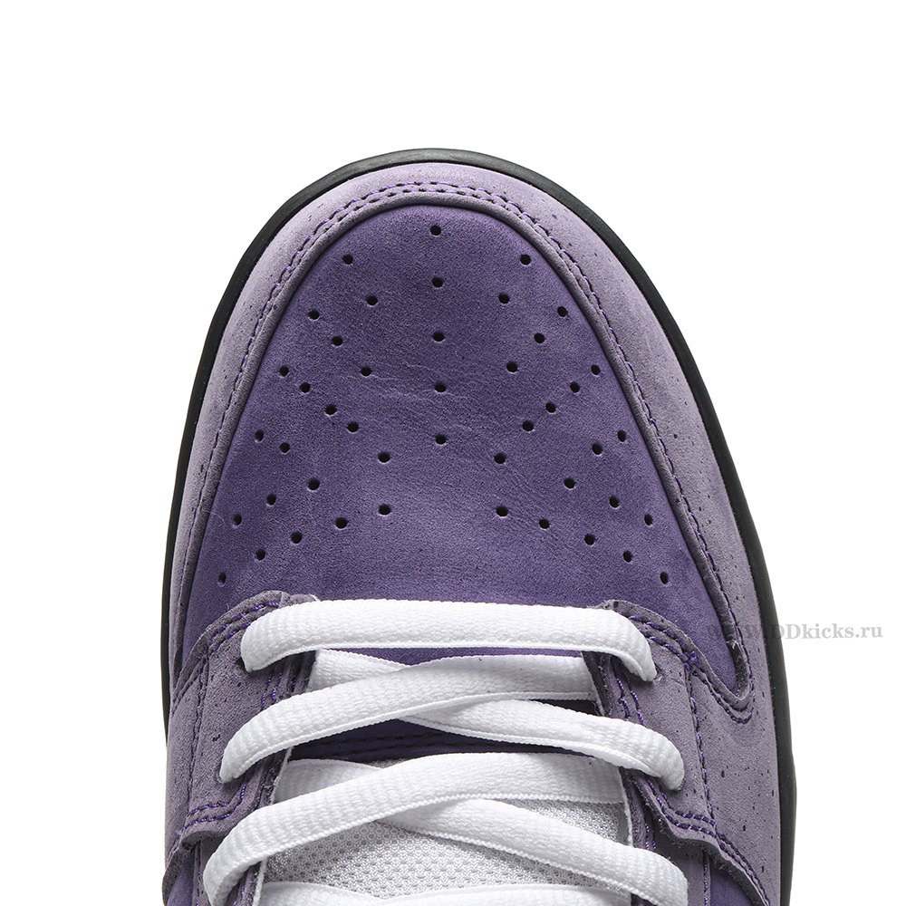 DD Nike SB Dunk Low Concepts Purple Lobster