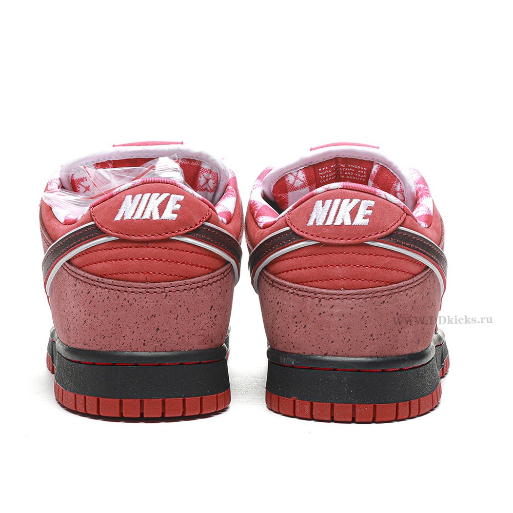 DD Nike SB Dunk Low Concepts Red Lobster