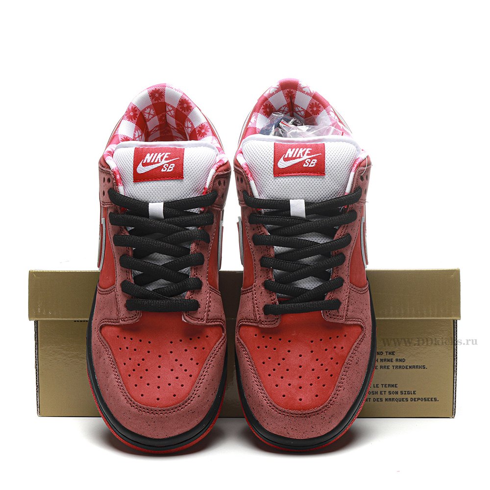 DD Nike SB Dunk Low Concepts Red Lobster