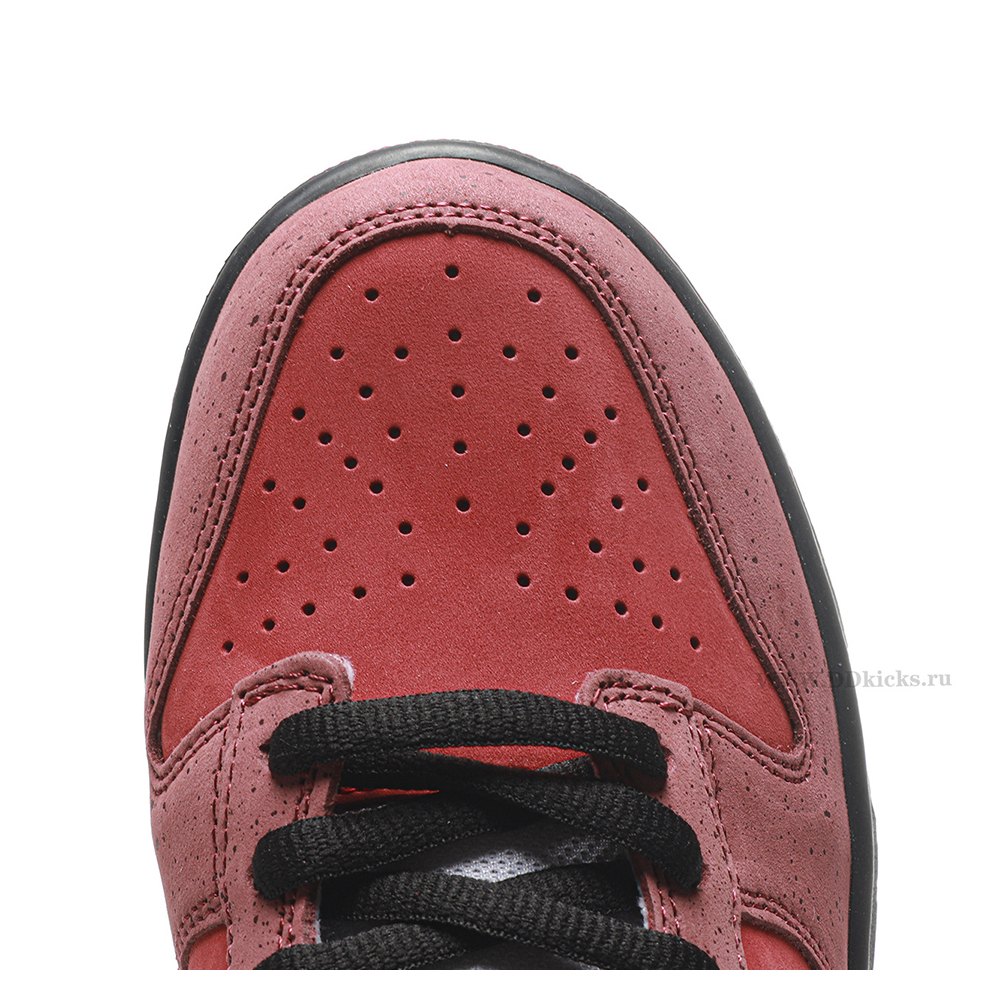DD Nike SB Dunk Low Concepts Red Lobster