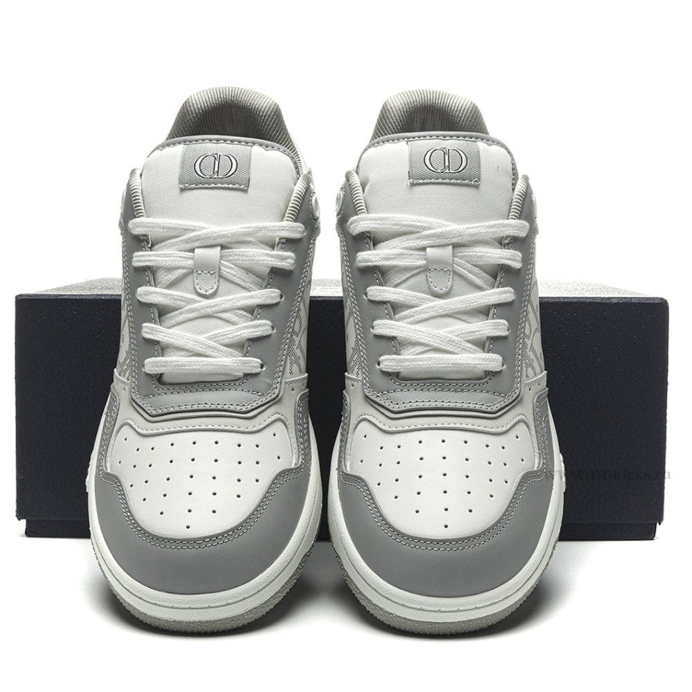 DD D10R B27 Low Grey White